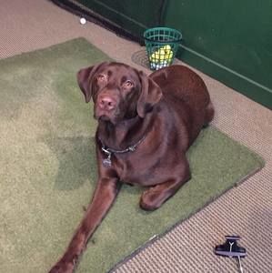 Meet your Posher, Jason